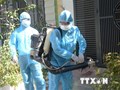 ImageArticle